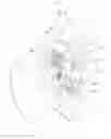 Fig. 09 - Digital entrance opening and closing device