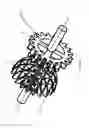 Fig. 07 - INVOLUTE NON-RING CONTINUOUS TEETH SPHERICAL GEAR TRANSMISSION MECHANISM
