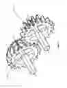 Fig. 09 - INVOLUTE NON-RING CONTINUOUS TEETH SPHERICAL GEAR TRANSMISSION MECHANISM