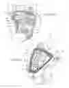 Fig. 05 - Shaftless vehicle pedal with contacting position sensor