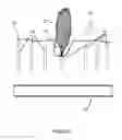 Fig. 03 - Passive alarm to prevent buried infrastructure damage
