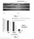 Fig. 03 - Pretreatment method for reduction and/or elimination of basal plane dislocations close to epilayer/substrate interface in growth of SiC epitaxial films