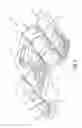 Fig. 03 - HEAD AND FACIAL PROTECTIVE DEVICE