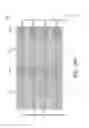 Fig. 26 - Solar cell module and solar cell thereof