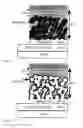 Fig. 02 - Optoelectronic device comprising perovskites