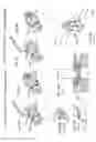 Fig. 12 - Valves with multi-directional ball check