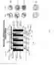 Fig. 09 - Fuel System Using Redox Flow Battery