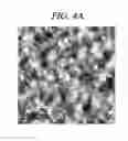 Fig. 05 - Structure including molecular monolayer and graphene electrode, flexible electronic device, and method of producing the same
