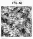 Fig. 06 - Structure including molecular monolayer and graphene electrode, flexible electronic device, and method of producing the same