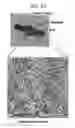 Fig. 13 - Structure including molecular monolayer and graphene electrode, flexible electronic device, and method of producing the same