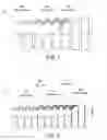Fig. 02 - Flexible, total coverage electromagnetic wave shielding system