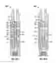 Fig. 09 - Top mounted choke for percussion tool