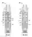 Fig. 09 - Field removable choke for mounting in the piston of a rotary percussion tool