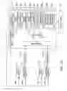 Fig. 09 - Combination weighing device initialization