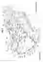 Fig. 04 - Head cover structure of engine and suspension structure thereof