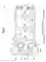 Fig. 08 - Head cover structure of engine and suspension structure thereof