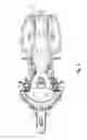 Fig. 06 - Two-wheeled vehicle