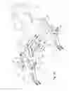 Fig. 40 - Two-wheeled vehicle