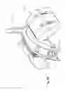 Fig. 68 - Two-wheeled vehicle