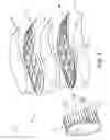 Fig. 04 - Sound reduction system