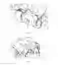Fig. 07 - Electric park brake for a multiple piston caliper