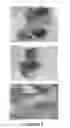 Fig. 05 - Nanocatalyst for heavy crude oil upgrading and method for synthesizing same