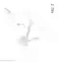 Fig. 08 - FLOATING COVER