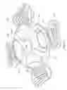 Fig. 07 - Single action four point harness for a backpack