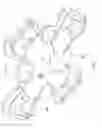 Fig. 08 - Single action four point harness for a backpack