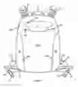 Fig. 08 - Modular backpack