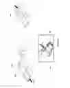 Fig. 16 - Clone-proof monetary and security documents and preparation thereof