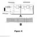 Fig. 03 - Method for anchoring a linear induction generator to living tissue for RFID signal transmission