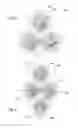 Fig. 06 - Multi-head electrostatic painting apparatus