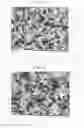Fig. 07 - PRODUCTION METHOD OF BATTERY ACTIVE MATERIAL, BATTERY ACTIVE MATERIAL, NONAQUEOUS ELECTROLYTE BATTERY AND BATTERY PACK