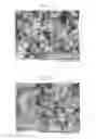 Fig. 08 - PRODUCTION METHOD OF BATTERY ACTIVE MATERIAL, BATTERY ACTIVE MATERIAL, NONAQUEOUS ELECTROLYTE BATTERY AND BATTERY PACK