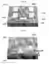 Fig. 13 - Device and structure and method for forming the same