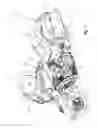 Fig. 02 - Two-wheeled vehicle