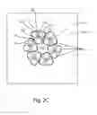 Fig. 06 - Process and apparatus for creating tufts for tufted article