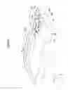 Fig. 28 - Antenna device and wireless apparatus including same