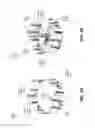 Fig. 08 - Analysis and manipulation of panoramic surround views
