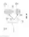 Fig. 23 - Analysis and manipulation of panoramic surround views