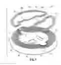 Fig. 06 - Coil arrangement