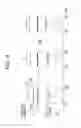 Fig. 08 - LIGHT IRRADIATION DEVICE, PARTICLE ANALYSIS DEVICE, AND LIGHT IRRADIATION METHOD