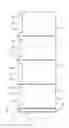 Fig. 02 - Decorative Lighting Assembly