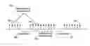 Fig. 01 - Wireless device transmission power
