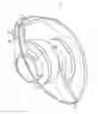 Fig. 01 - Headphone apparatus with cord storage