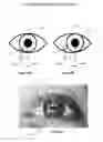 Fig. 04 - Identifying user activities using eye tracking data, mouse events, and keystrokes