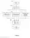 Fig. 08 - Identifying user activities using eye tracking data, mouse events, and keystrokes