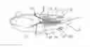 Fig. 01 - Foot shape measurer