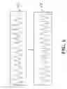 Fig. 07 - Apparatus based on image for detecting heart rate activity and method thereof